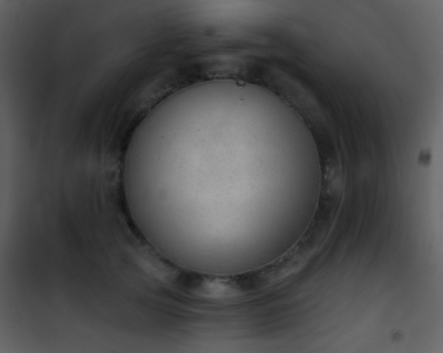 X0000101970753200807181105