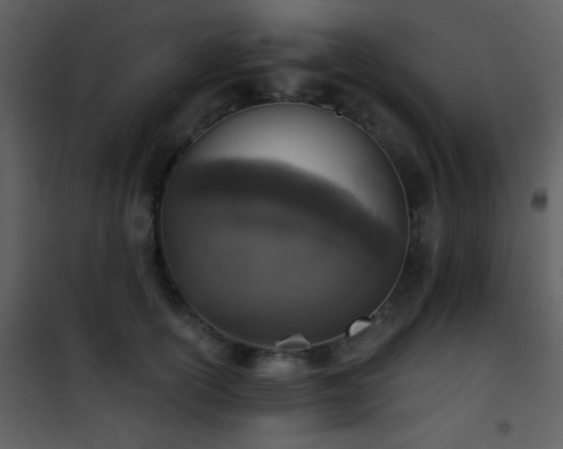 X0000101970754200807181105