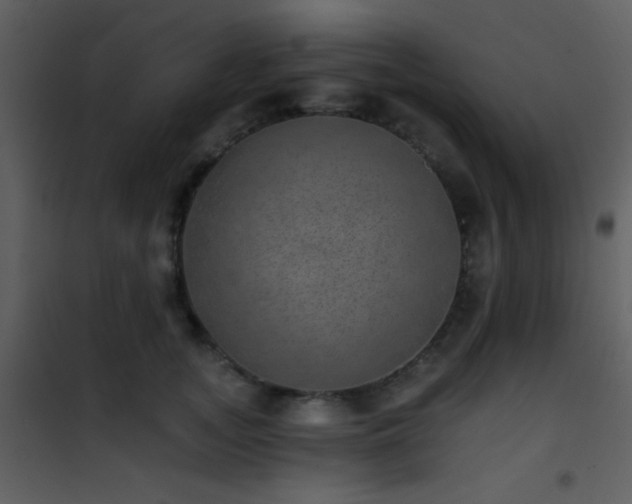 X0000101970755200807181105