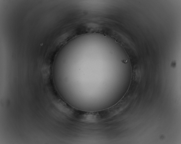 X0000101970756200807181105