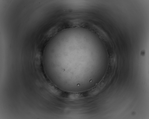 X0000101970757200807181105