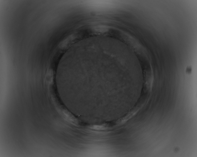 X0000101970758200807181105