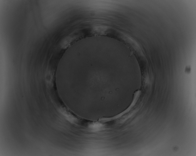 X0000101970759200807181105