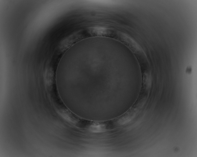 X0000101970760200807181105