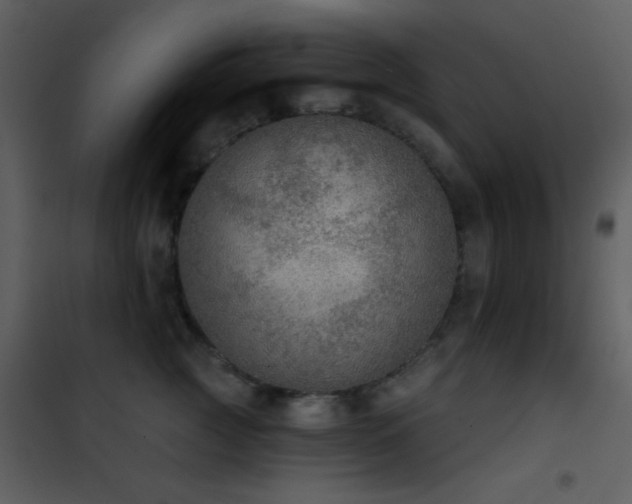 X0000101970761200807181105