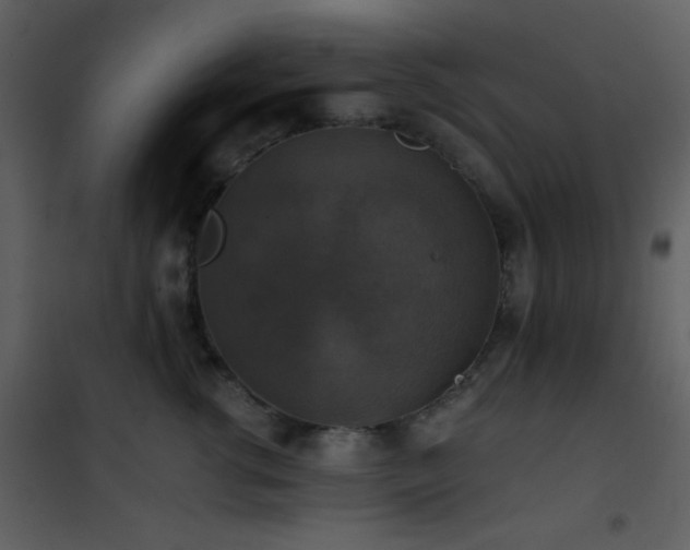 X0000101970762200807181105