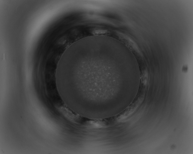 X0000101970763200807181105