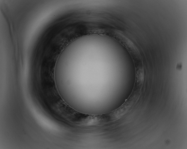 X0000101970764200807181105