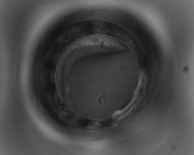 X0000101970765200807181105