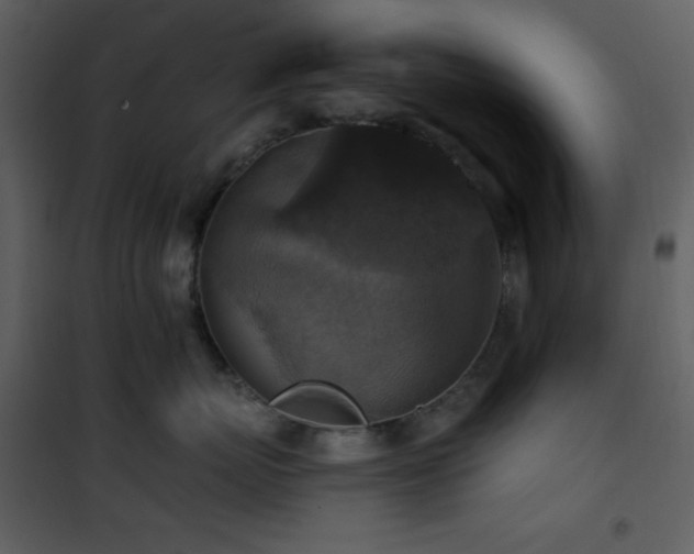 X0000101970767200807181105