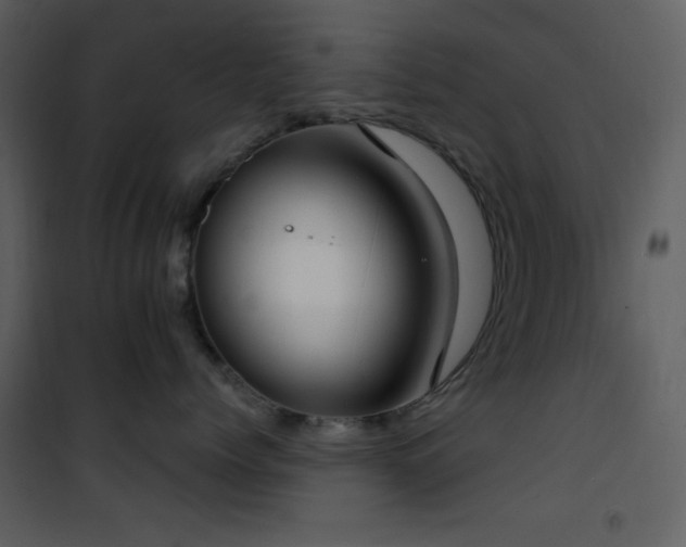 X0000101970768200807181105
