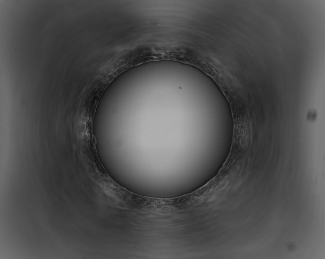 X0000101970770200807181104