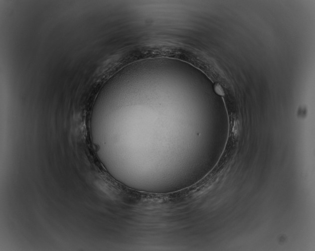 X0000101970771200807181104