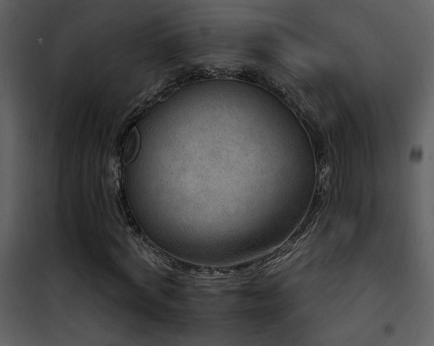 X0000101970772200807181104