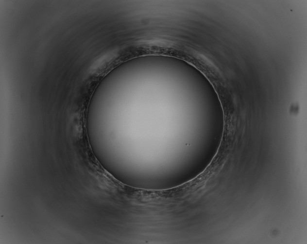 X0000101970774200807181104