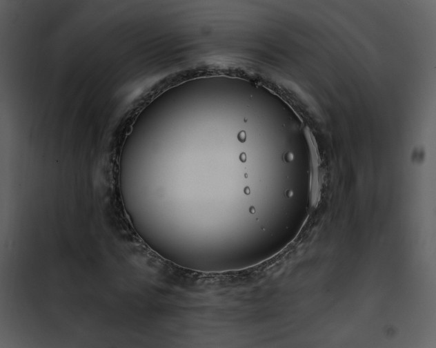 X0000101970776200807181104