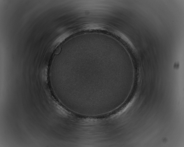 X0000101970777200807181104