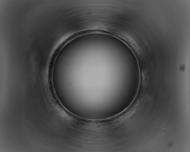 X0000101970780200807181104
