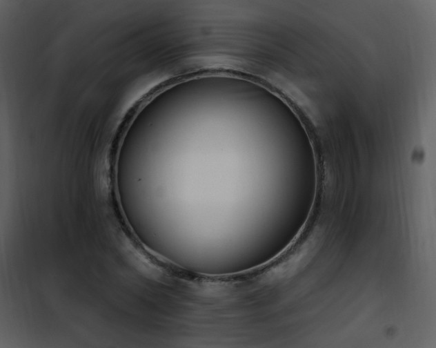 X0000101970782200807181104