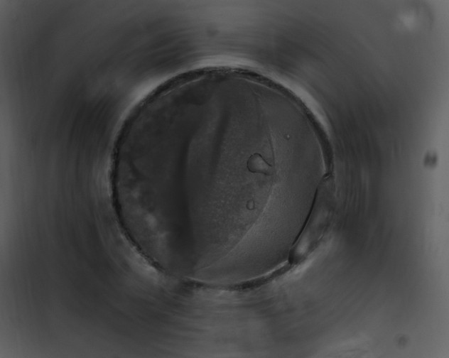 X0000101970783200807181104