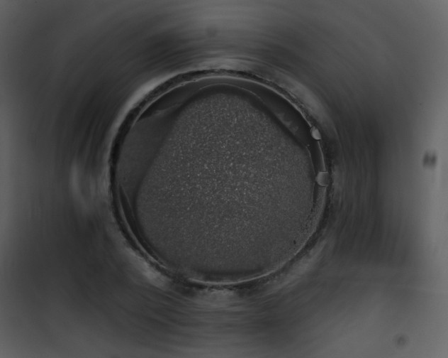 X0000101970784200807181104