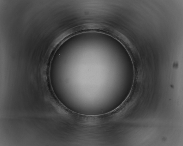 X0000101970786200807181104