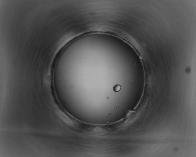 X0000101970787200807181104