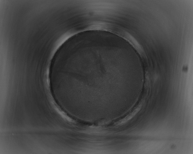 X0000101970788200807181104