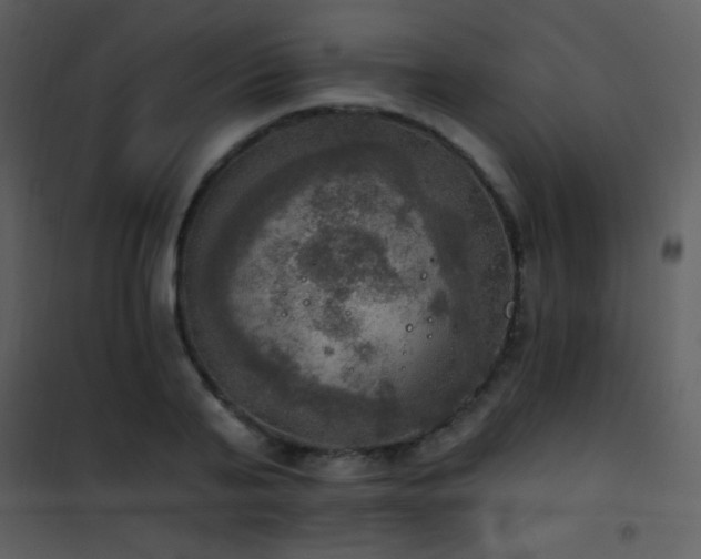 X0000101970791200807181104