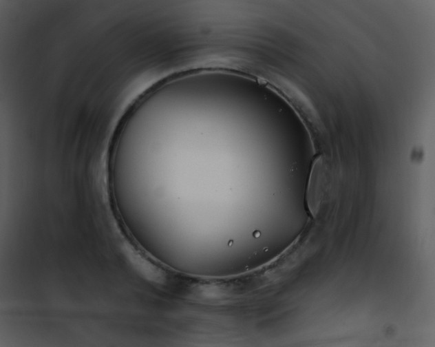 X0000101970792200807181104