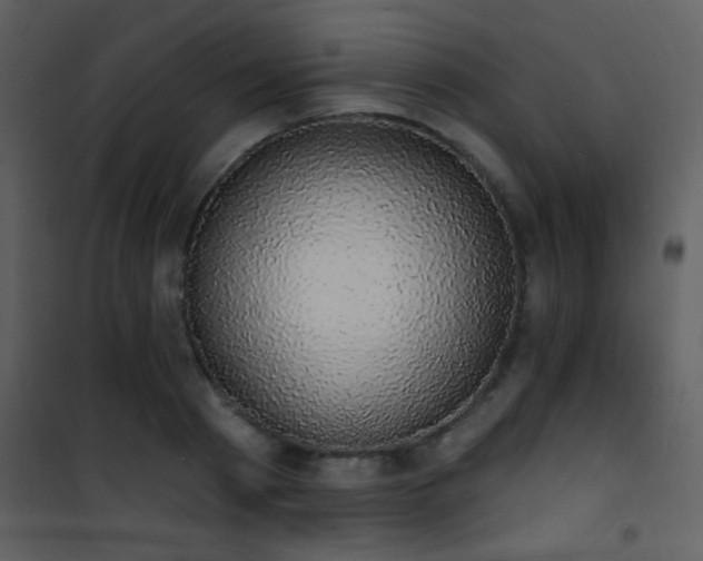 X0000101970793200807181104