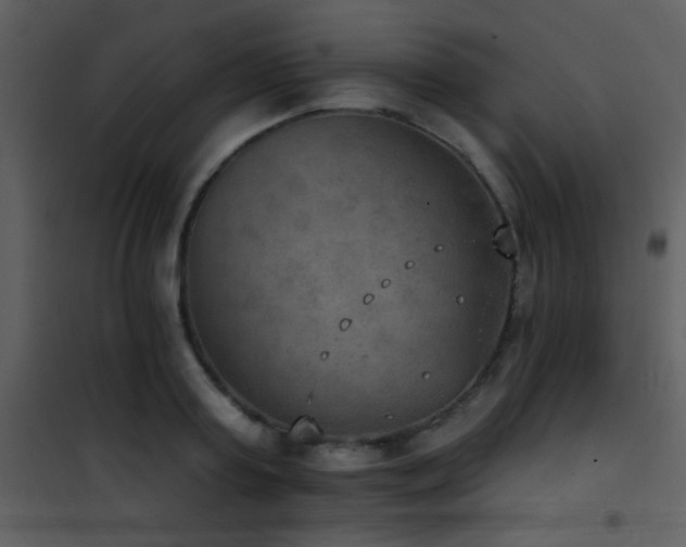 X0000101970795200807181104