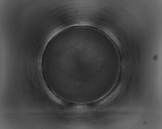 X0000101970797200807181104