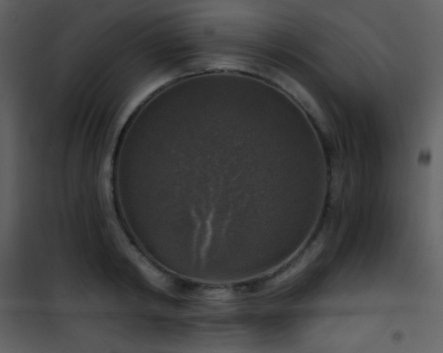 X0000101970798200807181104