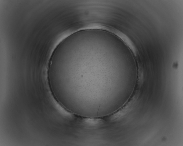 X0000101970805200807181104