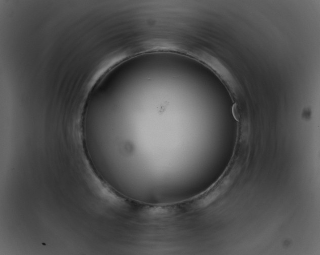 X0000101970806200807181103