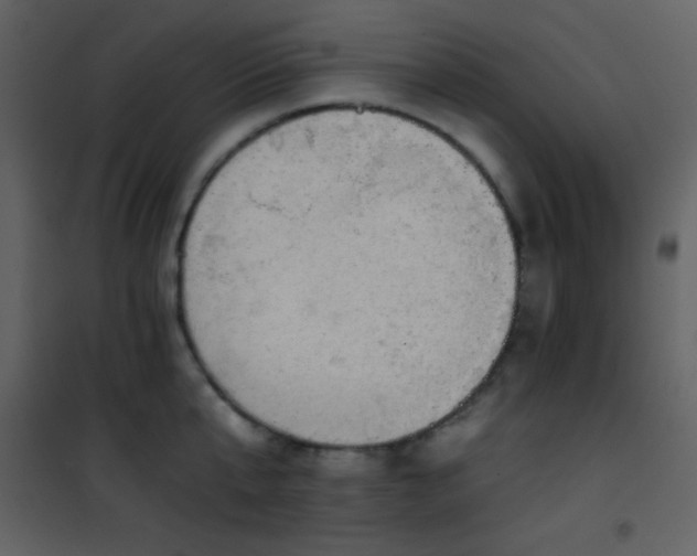 X0000101970807200807181103