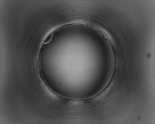 X0000101970808200807181103