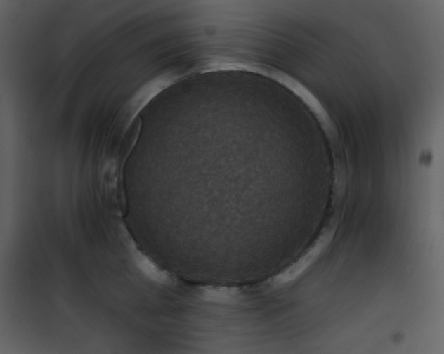 X0000101970809200807181103