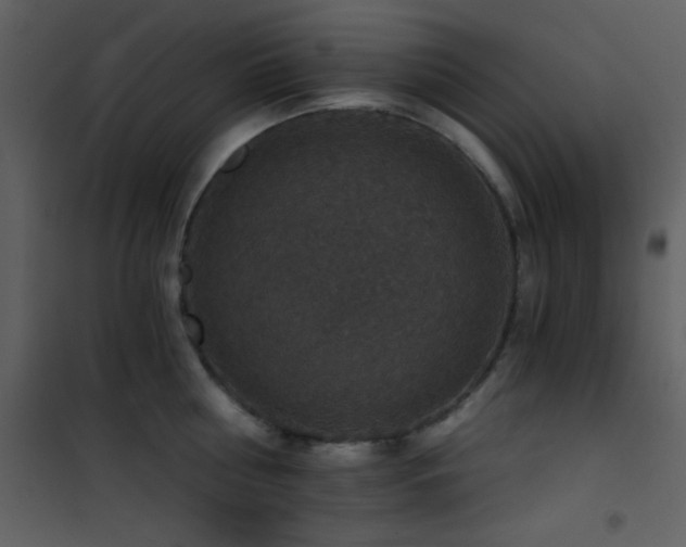 X0000101970810200807181103
