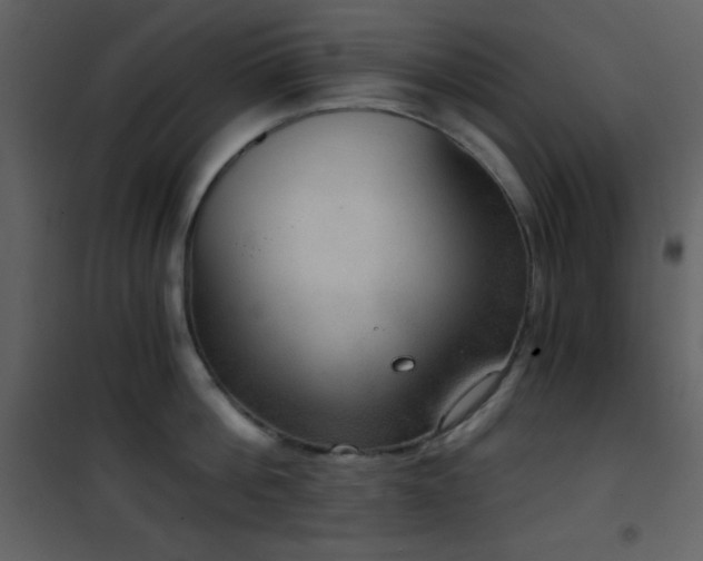 X0000101970812200807181103