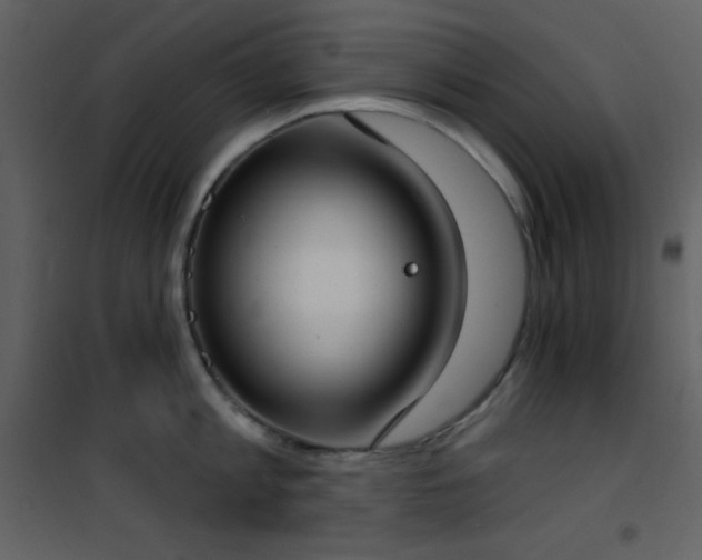 X0000101970813200807181103