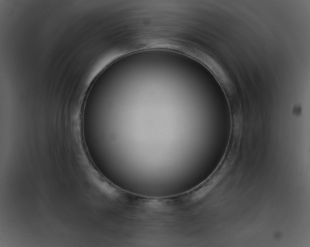 X0000101970814200807181103