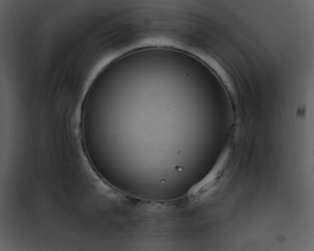 X0000101970815200807181103