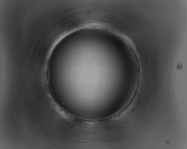X0000101970816200807181103