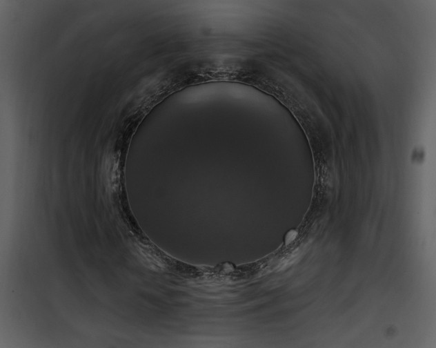 X0000101970818200807181103