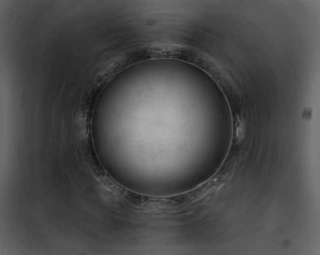 X0000101970819200807181103