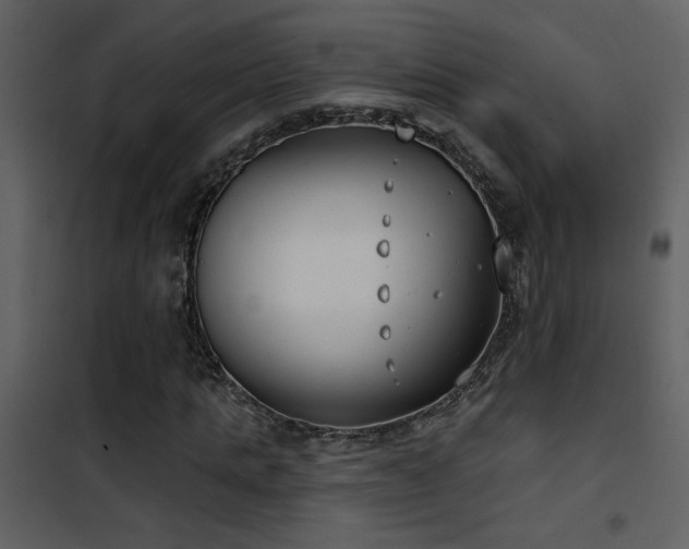 X0000101970821200807181103