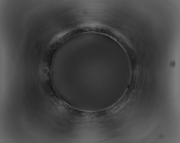 X0000101970822200807181103