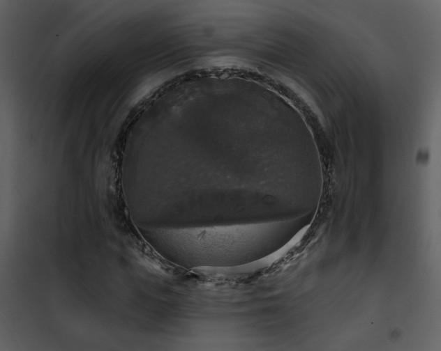 X0000101970823200807181103